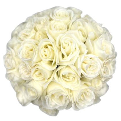 Posh Grand Fresh Flower Hand Tied Bouquet - 30 Stems of Roses